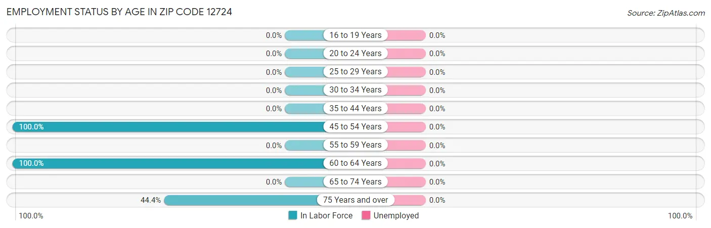 Employment Status by Age in Zip Code 12724