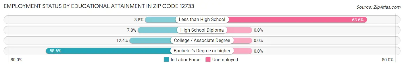 Employment Status by Educational Attainment in Zip Code 12733