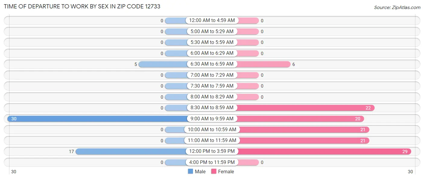 Time of Departure to Work by Sex in Zip Code 12733