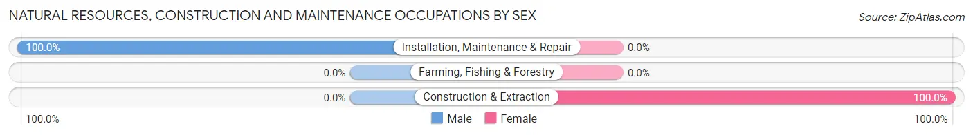 Natural Resources, Construction and Maintenance Occupations by Sex in Zip Code 12741