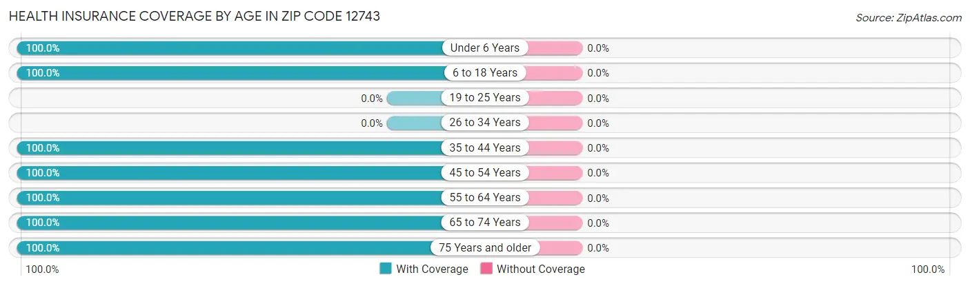 Health Insurance Coverage by Age in Zip Code 12743