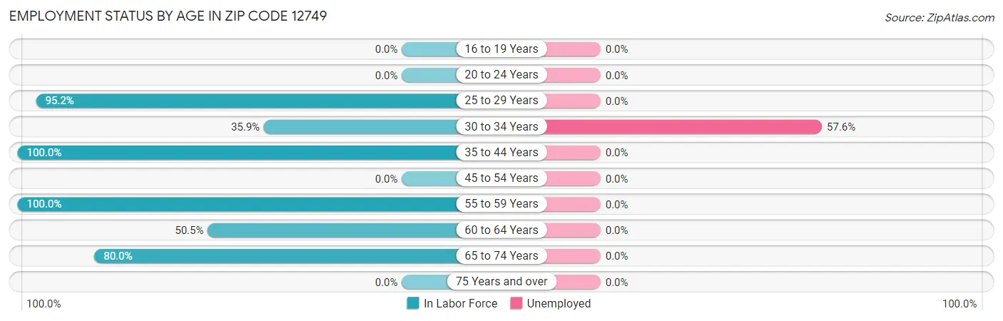 Employment Status by Age in Zip Code 12749