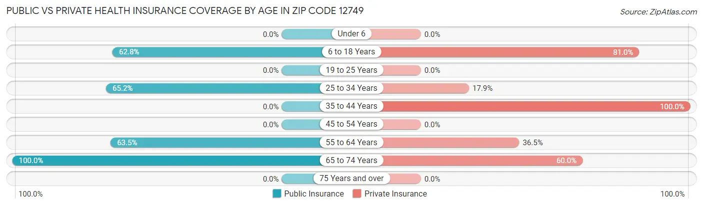 Public vs Private Health Insurance Coverage by Age in Zip Code 12749