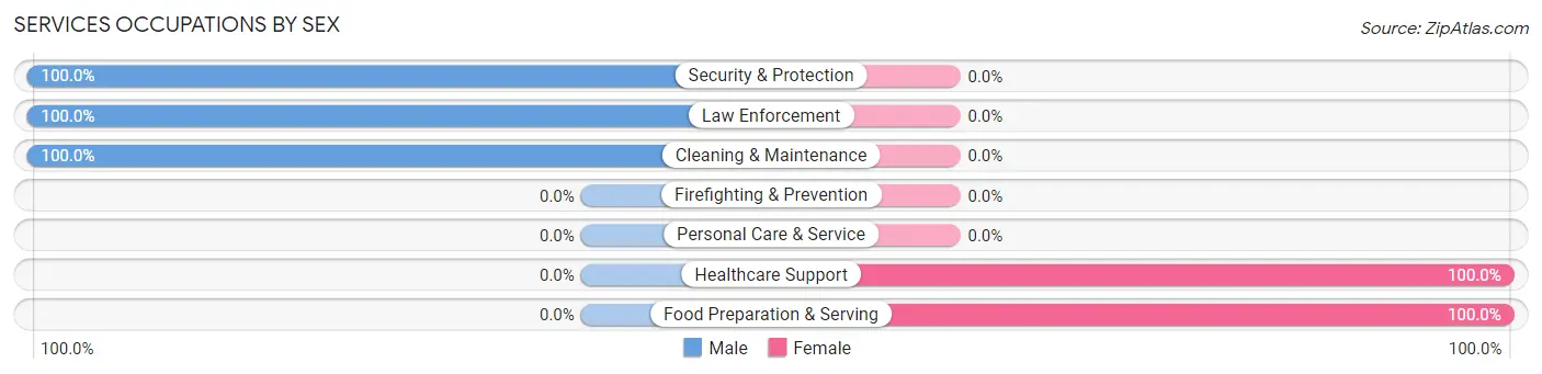 Services Occupations by Sex in Zip Code 12765