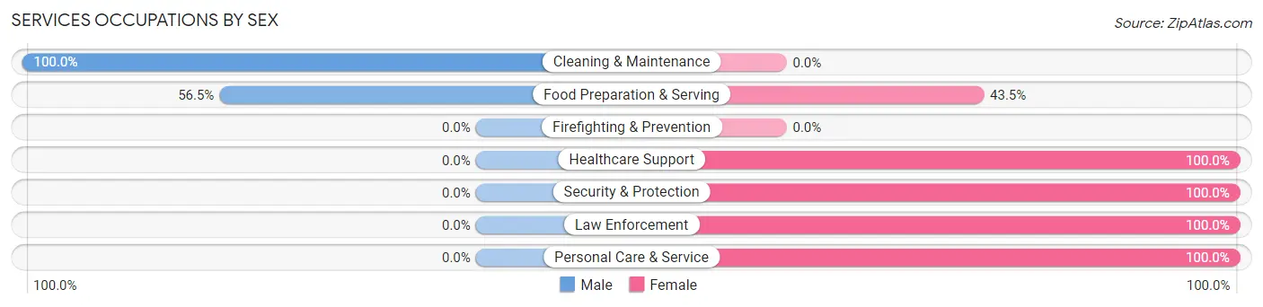 Services Occupations by Sex in Zip Code 12768