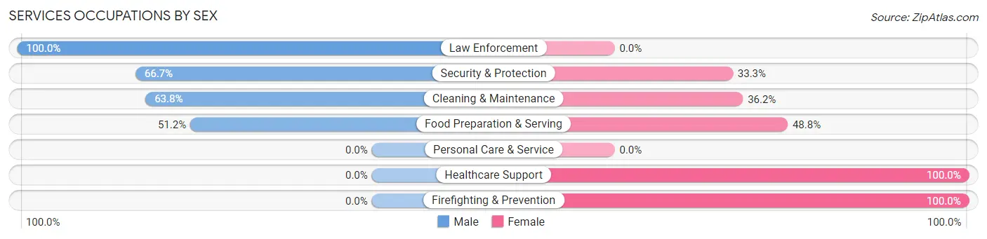 Services Occupations by Sex in Zip Code 12775