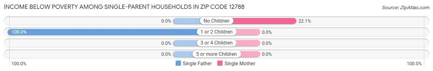 Income Below Poverty Among Single-Parent Households in Zip Code 12788