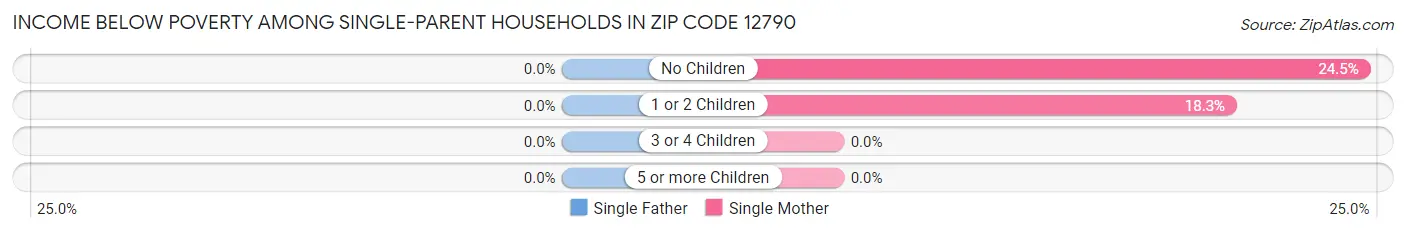 Income Below Poverty Among Single-Parent Households in Zip Code 12790