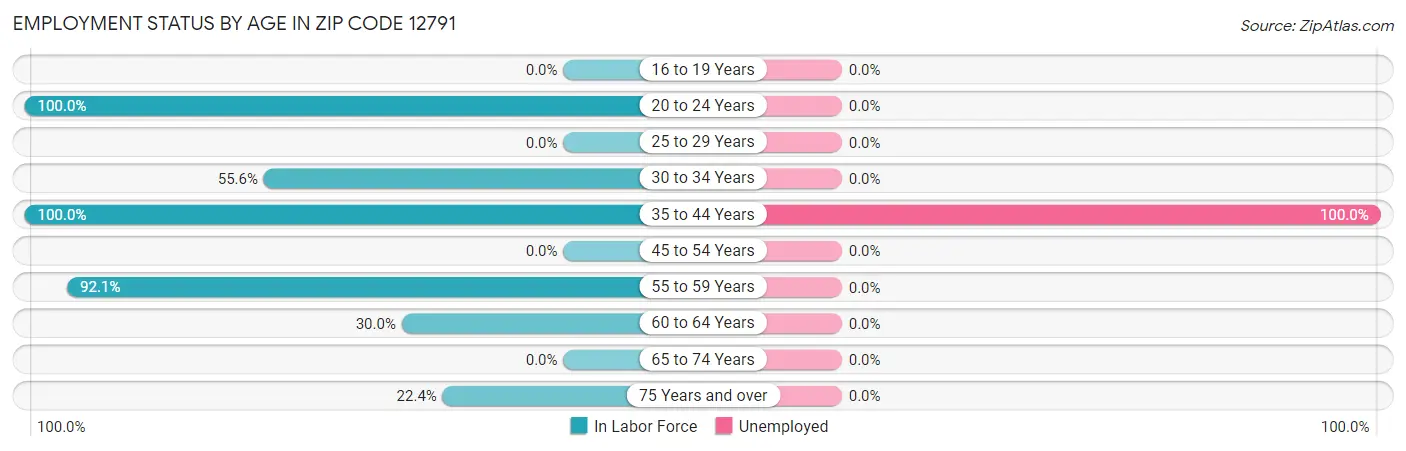 Employment Status by Age in Zip Code 12791