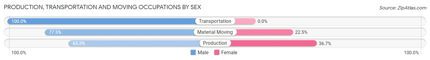 Production, Transportation and Moving Occupations by Sex in Zip Code 12801