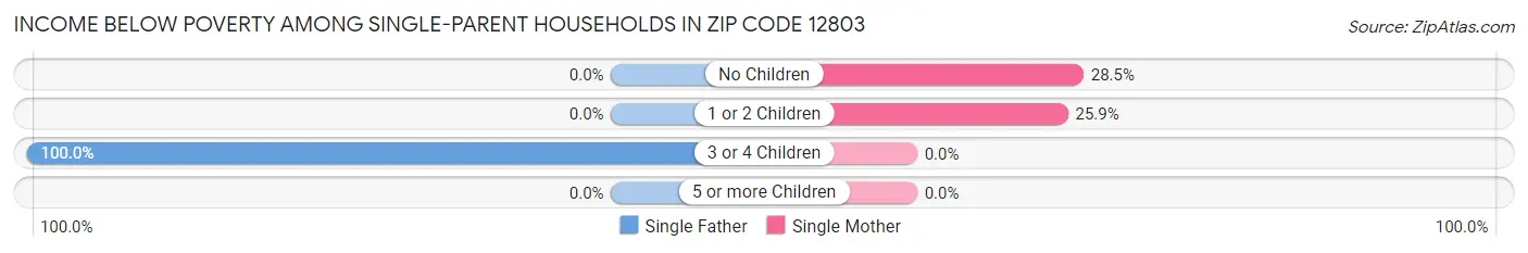 Income Below Poverty Among Single-Parent Households in Zip Code 12803