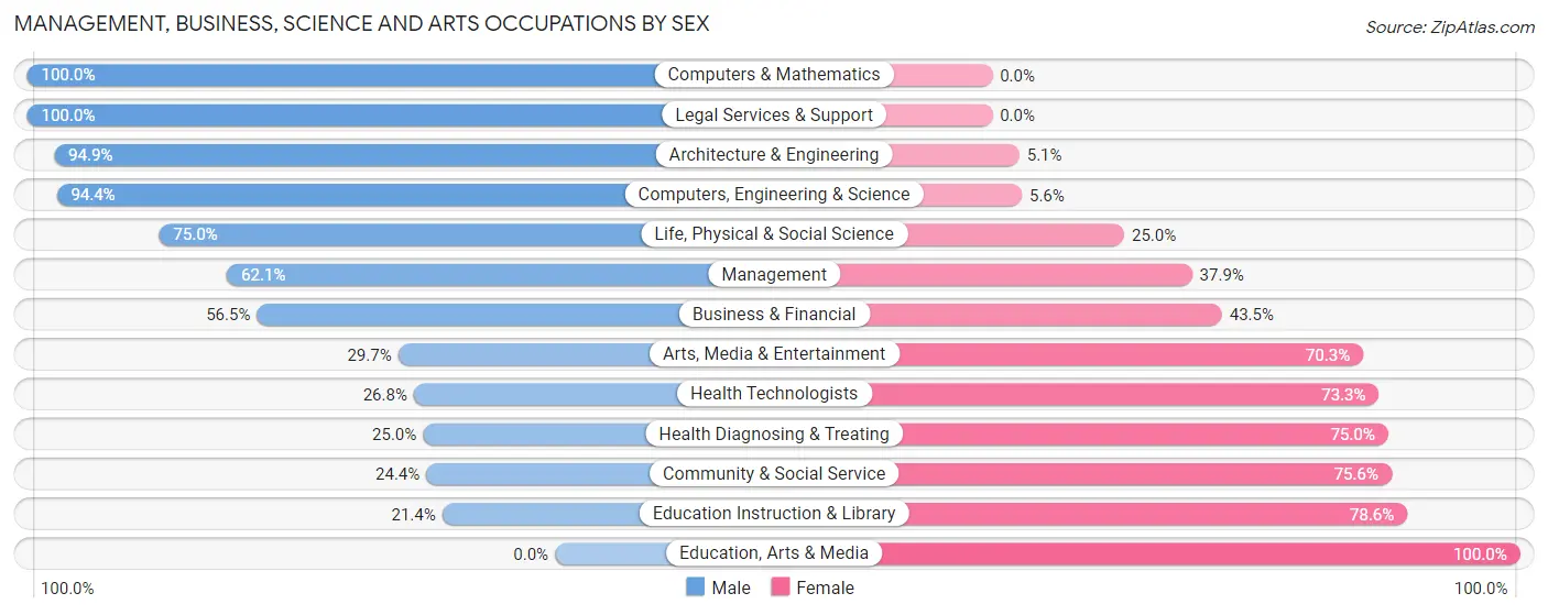 Management, Business, Science and Arts Occupations by Sex in Zip Code 12803