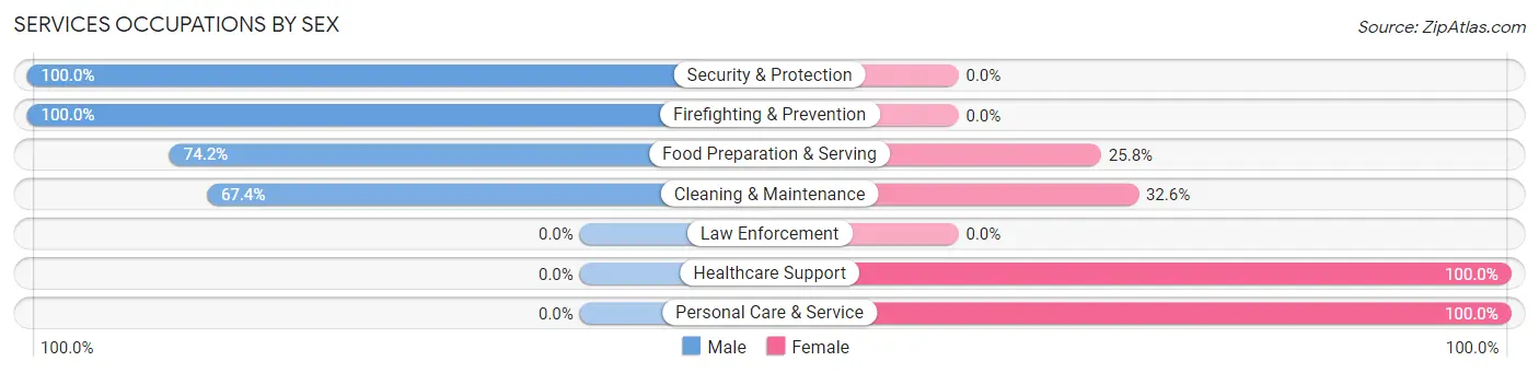 Services Occupations by Sex in Zip Code 12809