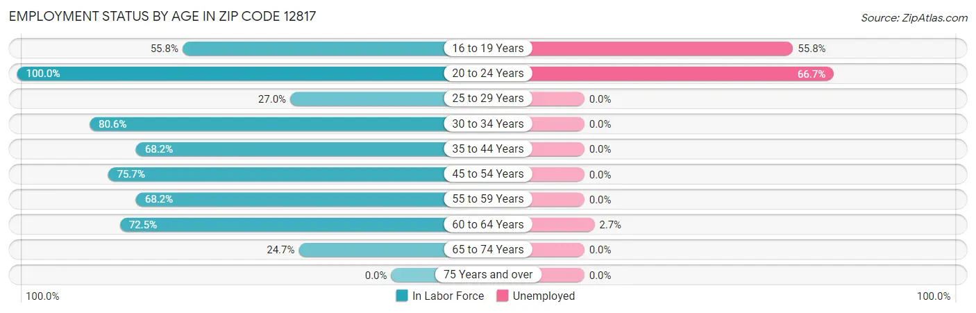 Employment Status by Age in Zip Code 12817