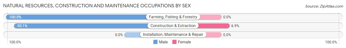 Natural Resources, Construction and Maintenance Occupations by Sex in Zip Code 12817