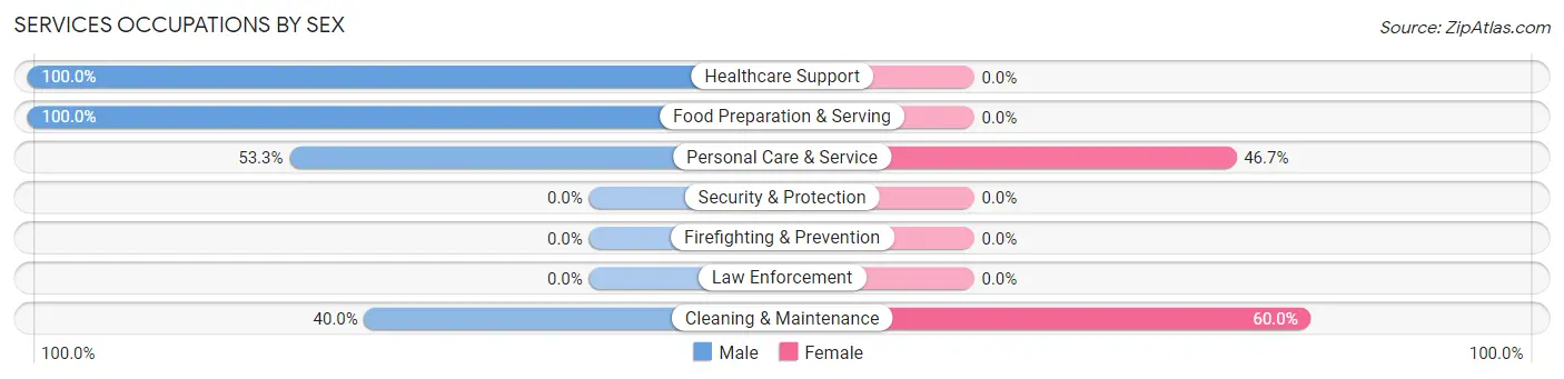 Services Occupations by Sex in Zip Code 12817