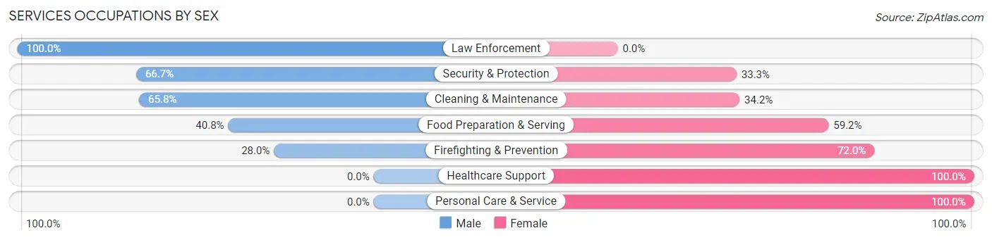 Services Occupations by Sex in Zip Code 12822