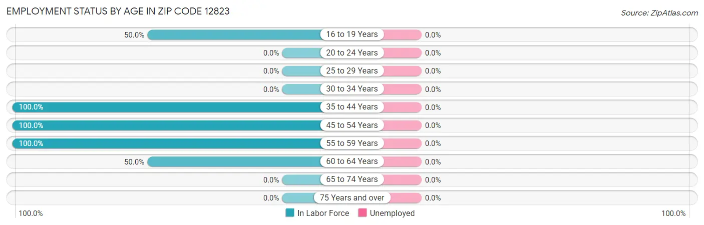 Employment Status by Age in Zip Code 12823