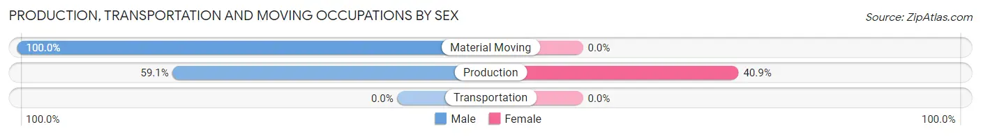 Production, Transportation and Moving Occupations by Sex in Zip Code 12823