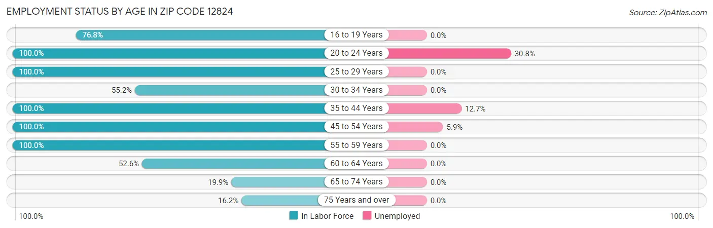 Employment Status by Age in Zip Code 12824