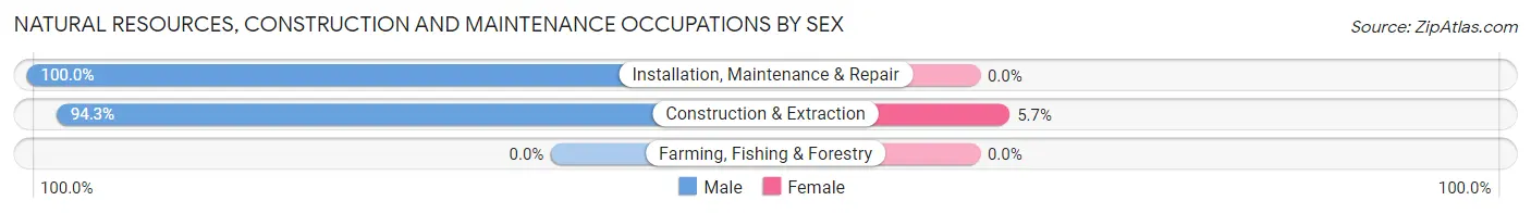 Natural Resources, Construction and Maintenance Occupations by Sex in Zip Code 12831