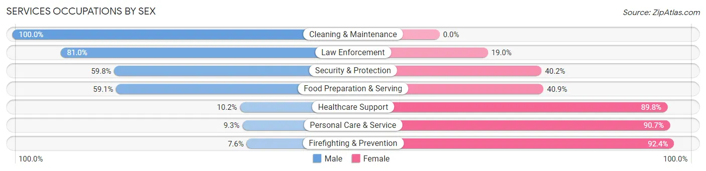 Services Occupations by Sex in Zip Code 12831