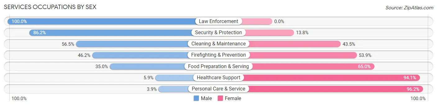 Services Occupations by Sex in Zip Code 12832