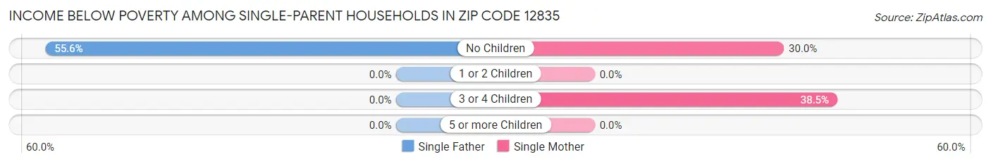 Income Below Poverty Among Single-Parent Households in Zip Code 12835