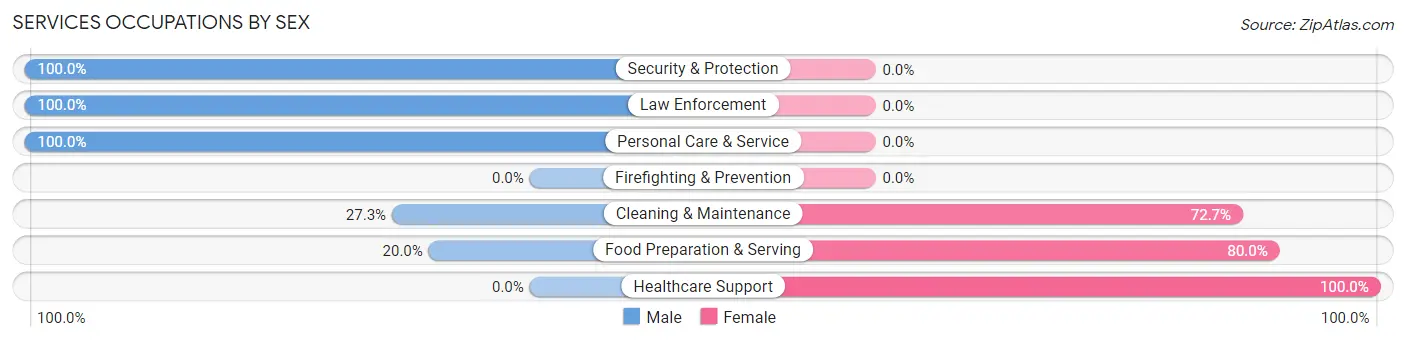 Services Occupations by Sex in Zip Code 12837