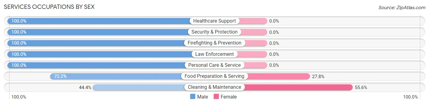 Services Occupations by Sex in Zip Code 12843