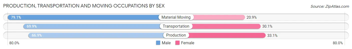 Production, Transportation and Moving Occupations by Sex in Zip Code 12845