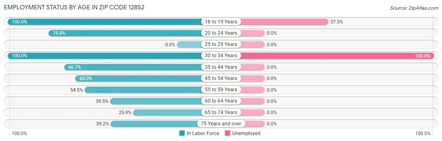 Employment Status by Age in Zip Code 12852