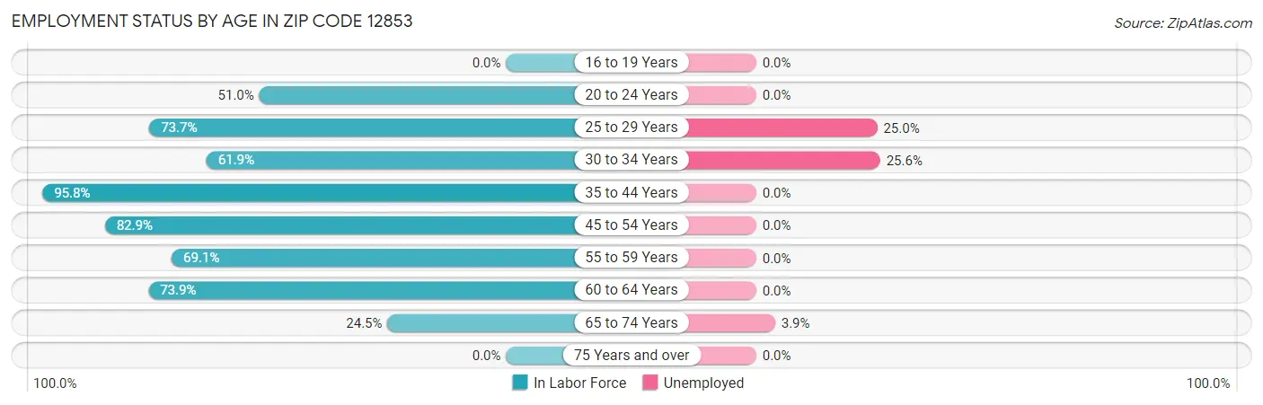 Employment Status by Age in Zip Code 12853