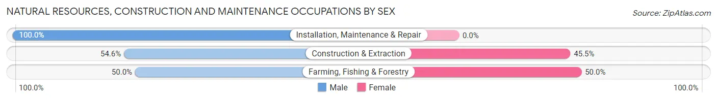 Natural Resources, Construction and Maintenance Occupations by Sex in Zip Code 12853