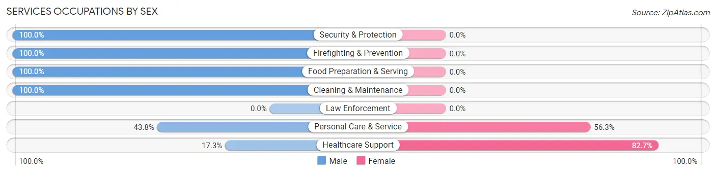 Services Occupations by Sex in Zip Code 12853