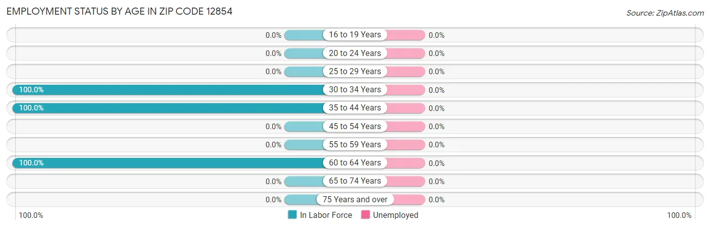 Employment Status by Age in Zip Code 12854