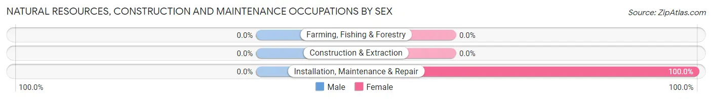 Natural Resources, Construction and Maintenance Occupations by Sex in Zip Code 12854
