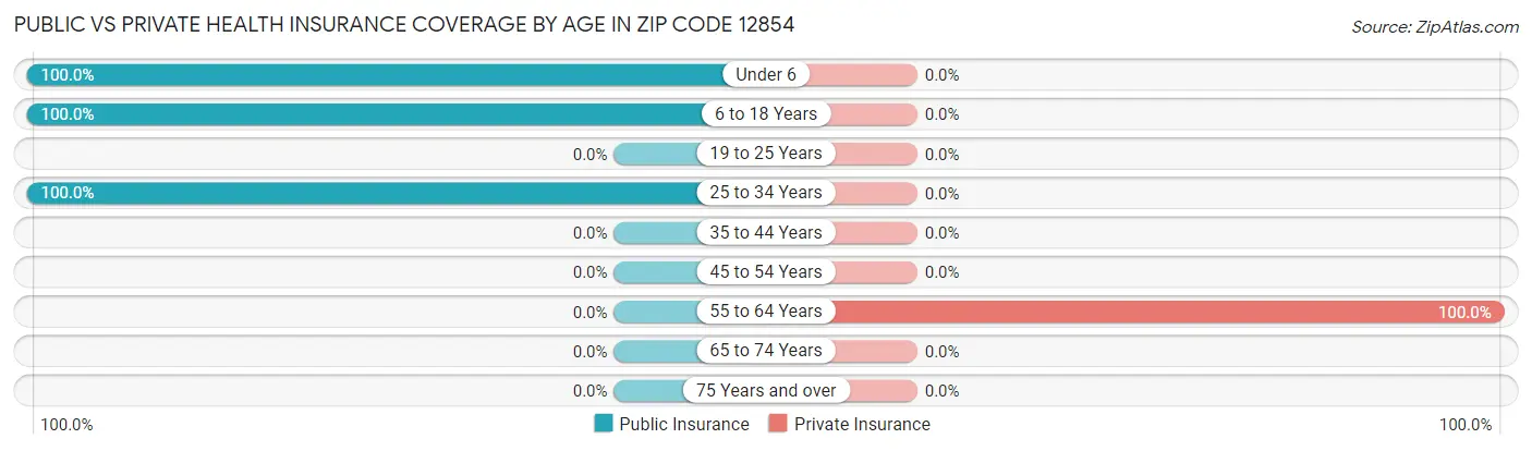 Public vs Private Health Insurance Coverage by Age in Zip Code 12854