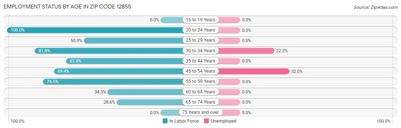 Employment Status by Age in Zip Code 12855