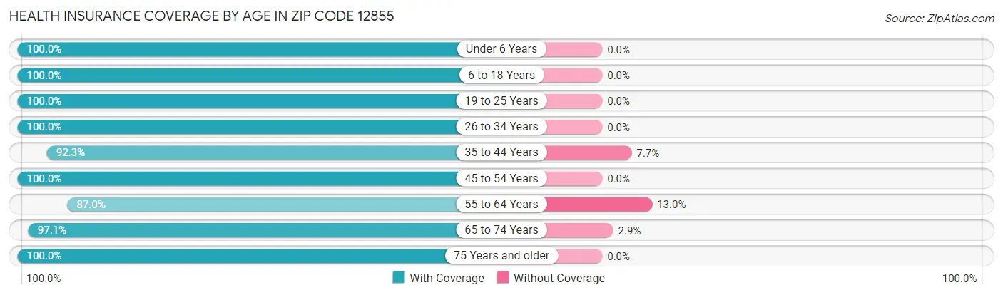 Health Insurance Coverage by Age in Zip Code 12855