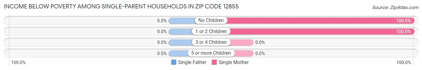 Income Below Poverty Among Single-Parent Households in Zip Code 12855