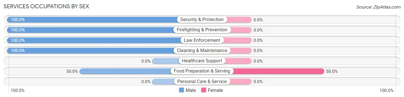 Services Occupations by Sex in Zip Code 12855