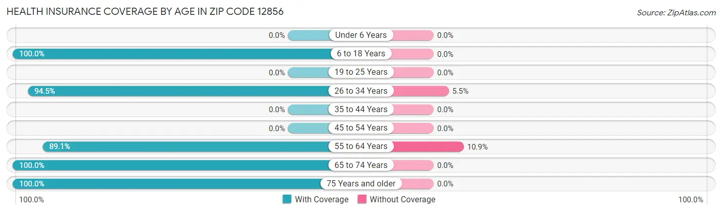 Health Insurance Coverage by Age in Zip Code 12856