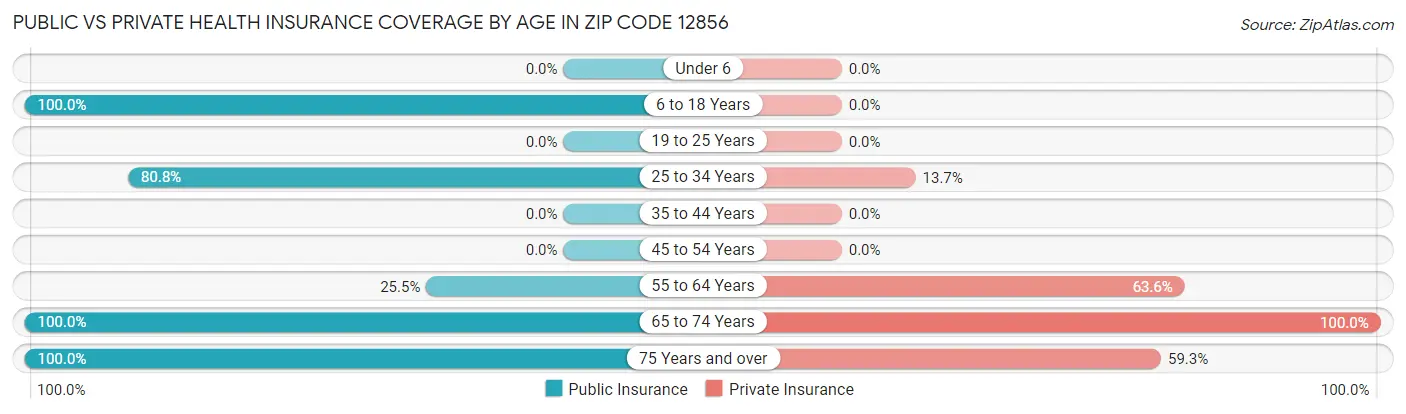 Public vs Private Health Insurance Coverage by Age in Zip Code 12856