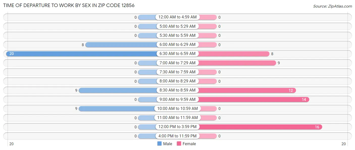 Time of Departure to Work by Sex in Zip Code 12856
