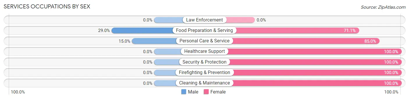 Services Occupations by Sex in Zip Code 12857