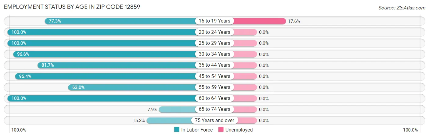 Employment Status by Age in Zip Code 12859