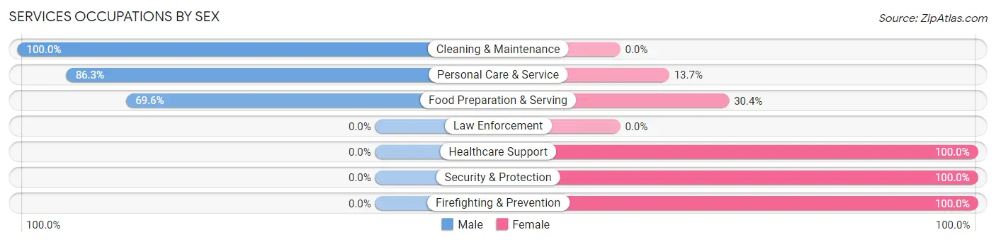 Services Occupations by Sex in Zip Code 12859