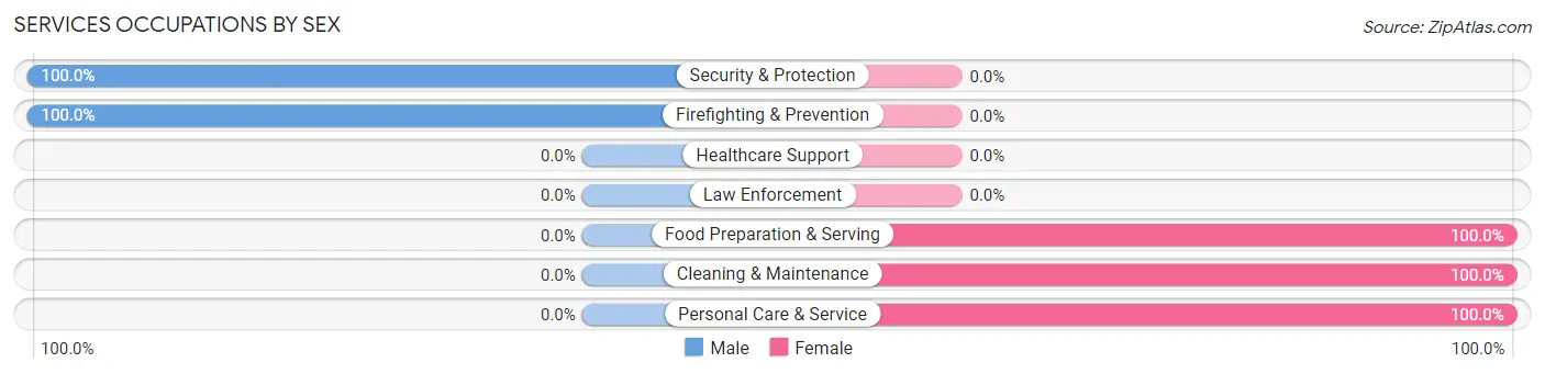 Services Occupations by Sex in Zip Code 12860