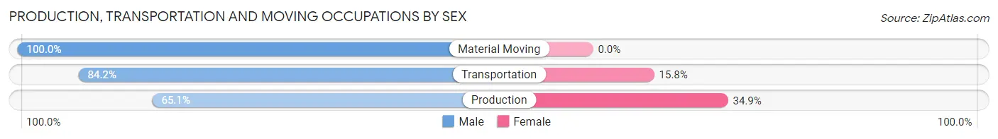 Production, Transportation and Moving Occupations by Sex in Zip Code 12865
